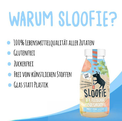 SLOOFIE MEAT FISH - Lachsliebe Hundesmoothie