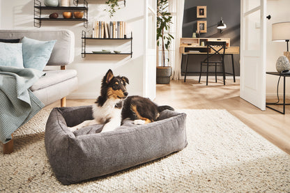 Laboni CLASSIC Hundebett - TUDOR