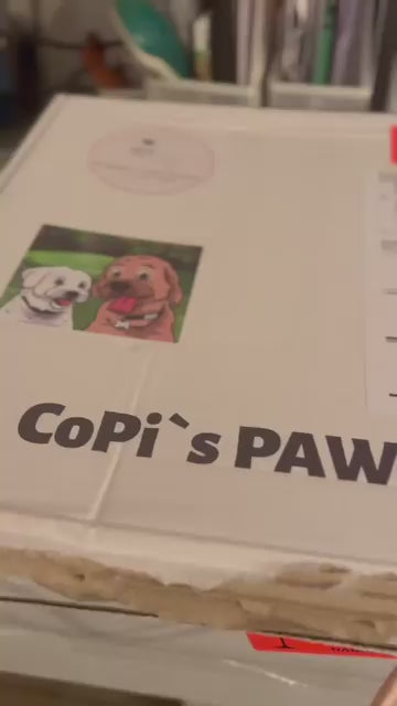 CoPi`s PAWTNER-Box DELUXE Die personalisierte Überraschungsbox für Hunde