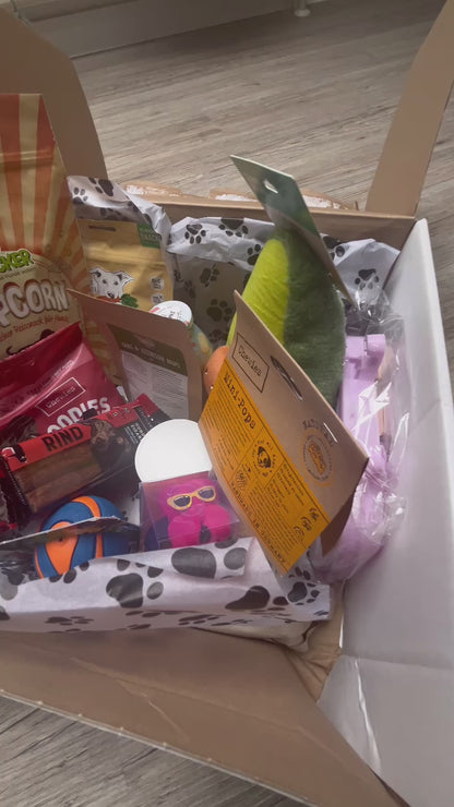 CoPi`s PAWTNER-Box DELUXE Die personalisierte Überraschungsbox für Hunde