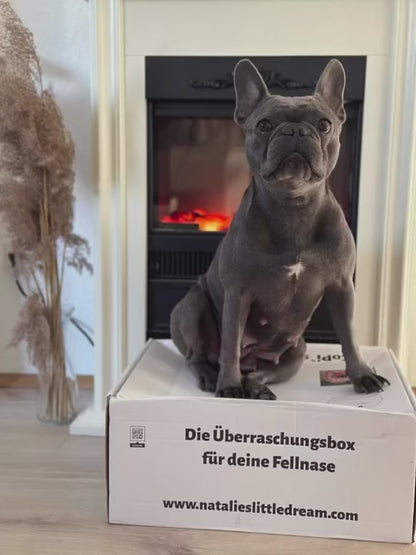 CoPi`s PAWTNER-Box DELUXE Die personalisierte Überraschungsbox für Hunde